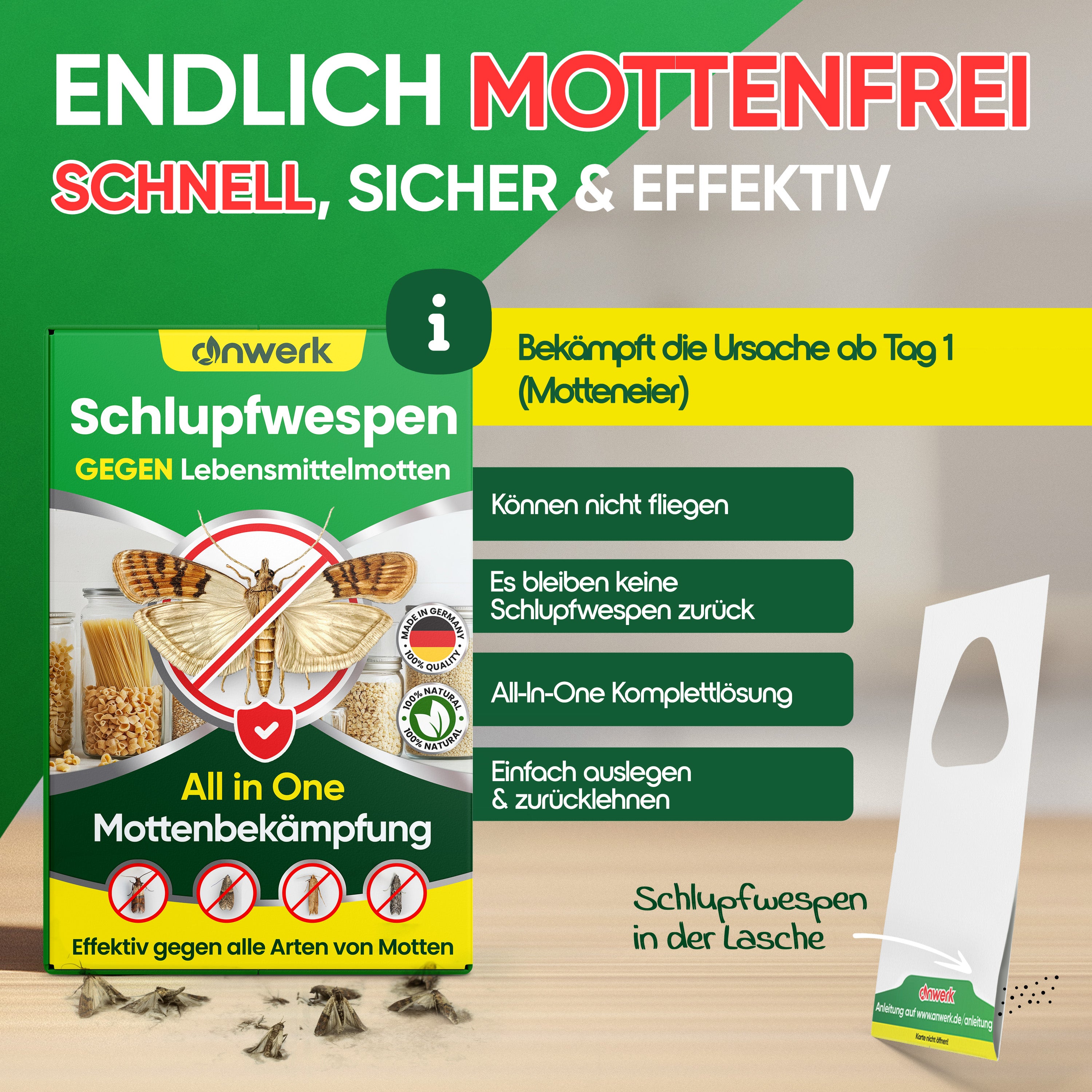 Schlupfwespen gegen Lebensmittelmotten