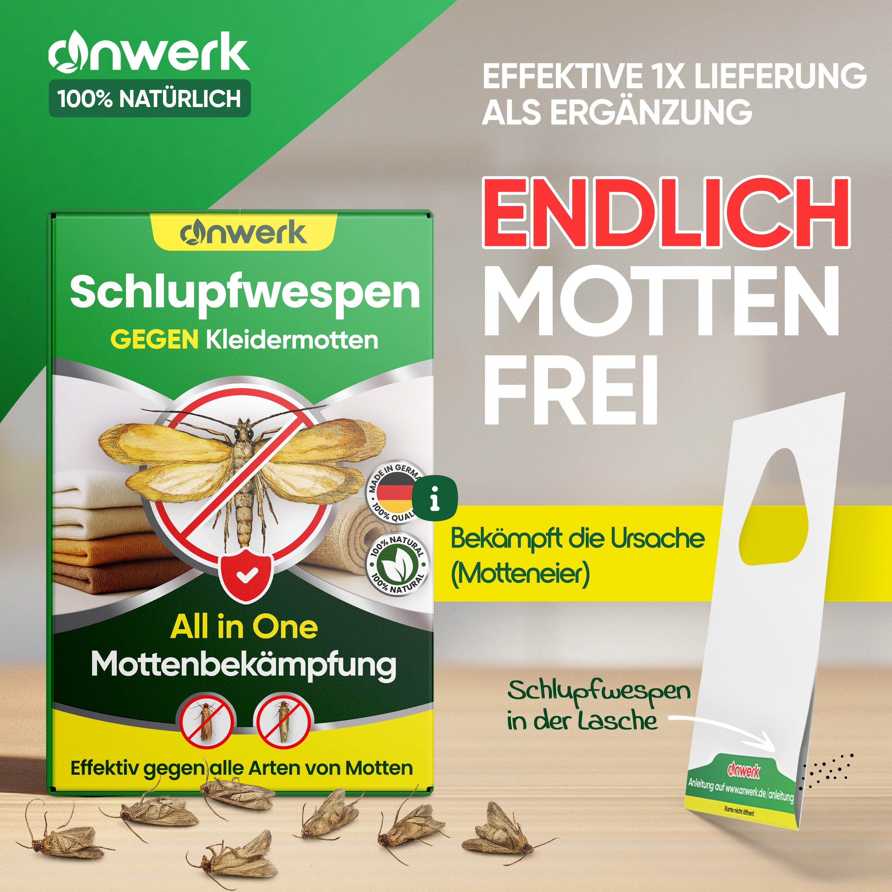 Schlupfwespen gegen Kleidermotten.