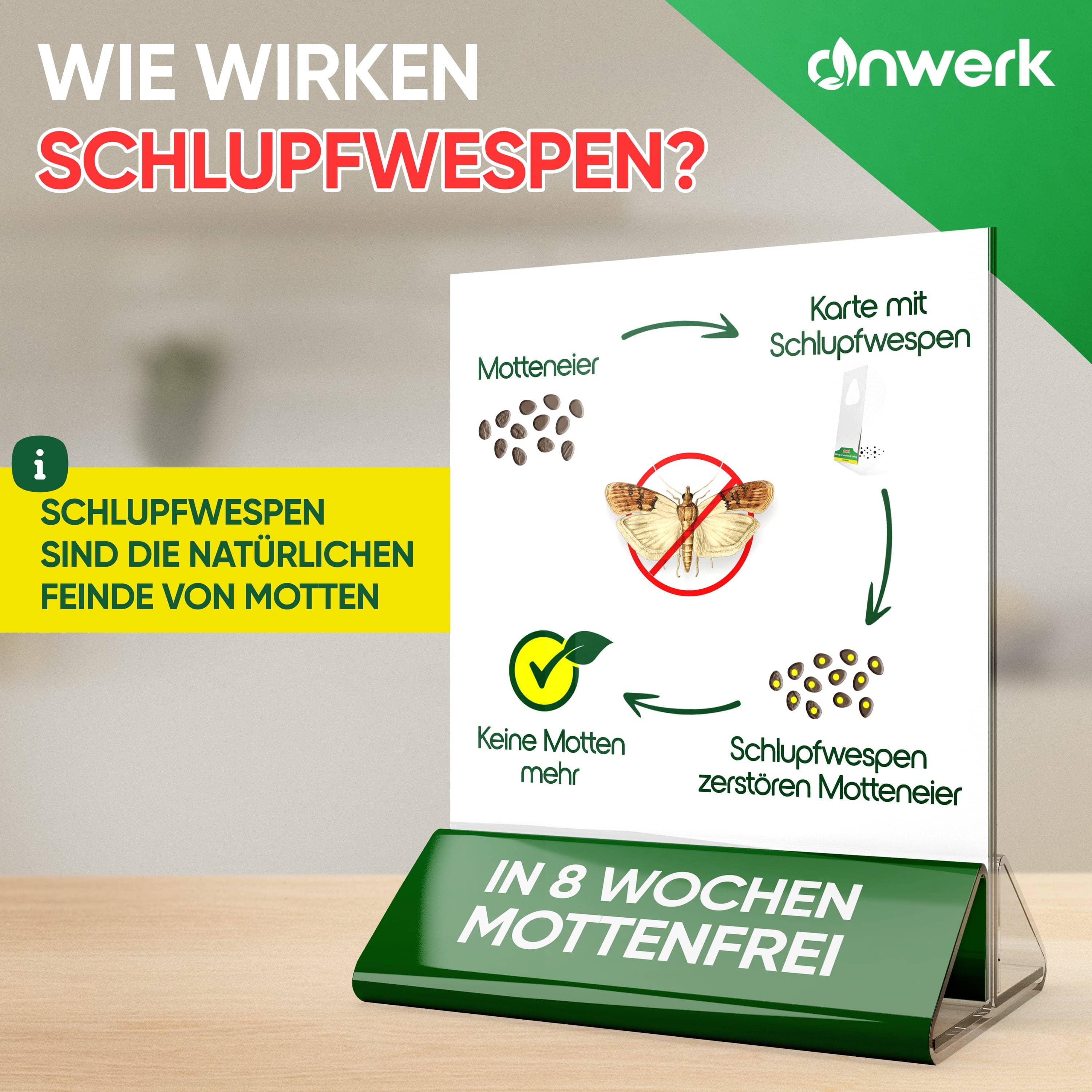 Schlupfwespen von Anwerk zur Bekämpfung von Lebensmittelmotten und Lebensmittelmotten Eiern