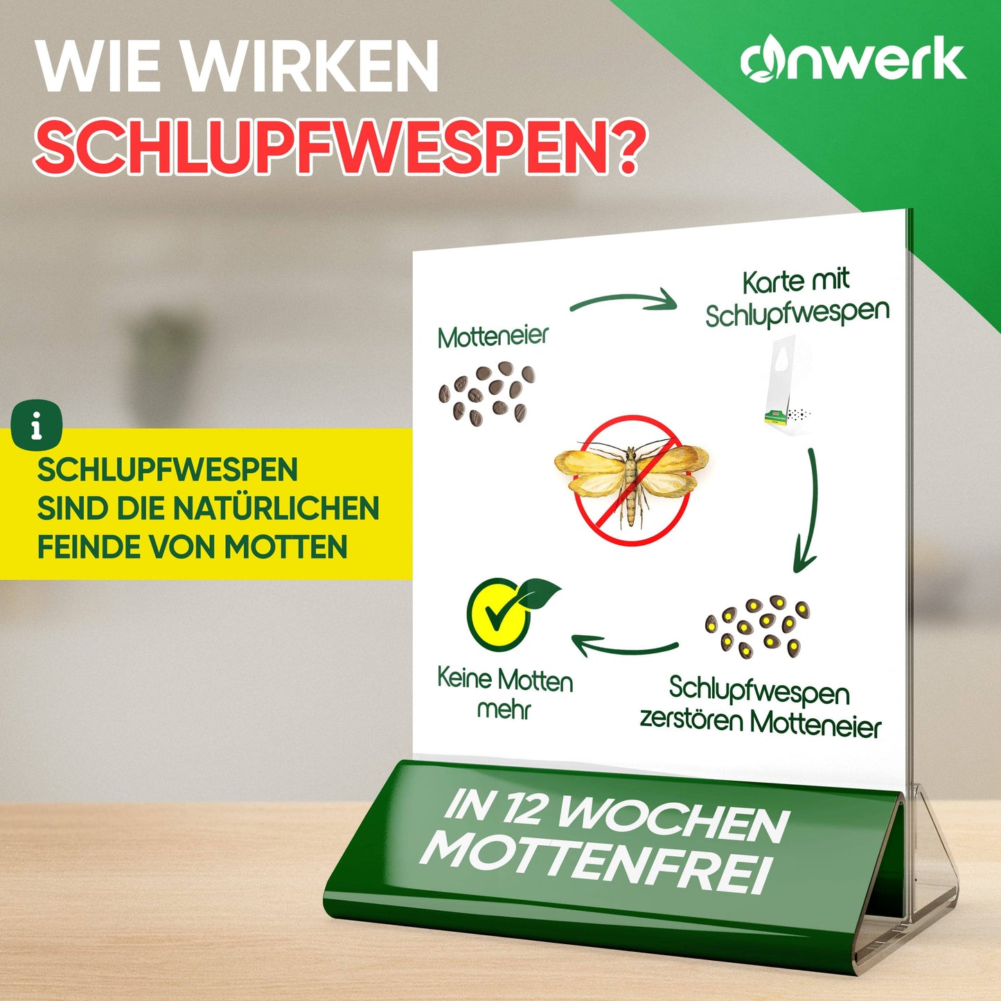 Anwerk - Schlupfwespen Kärtchen kaufen - Kleidermotten, Eier und Larven bekämpfen