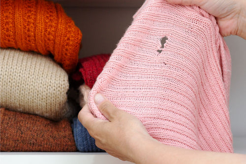 Mottenlöcher in der Kleidung erkennen » Unterschiede & Hilfe