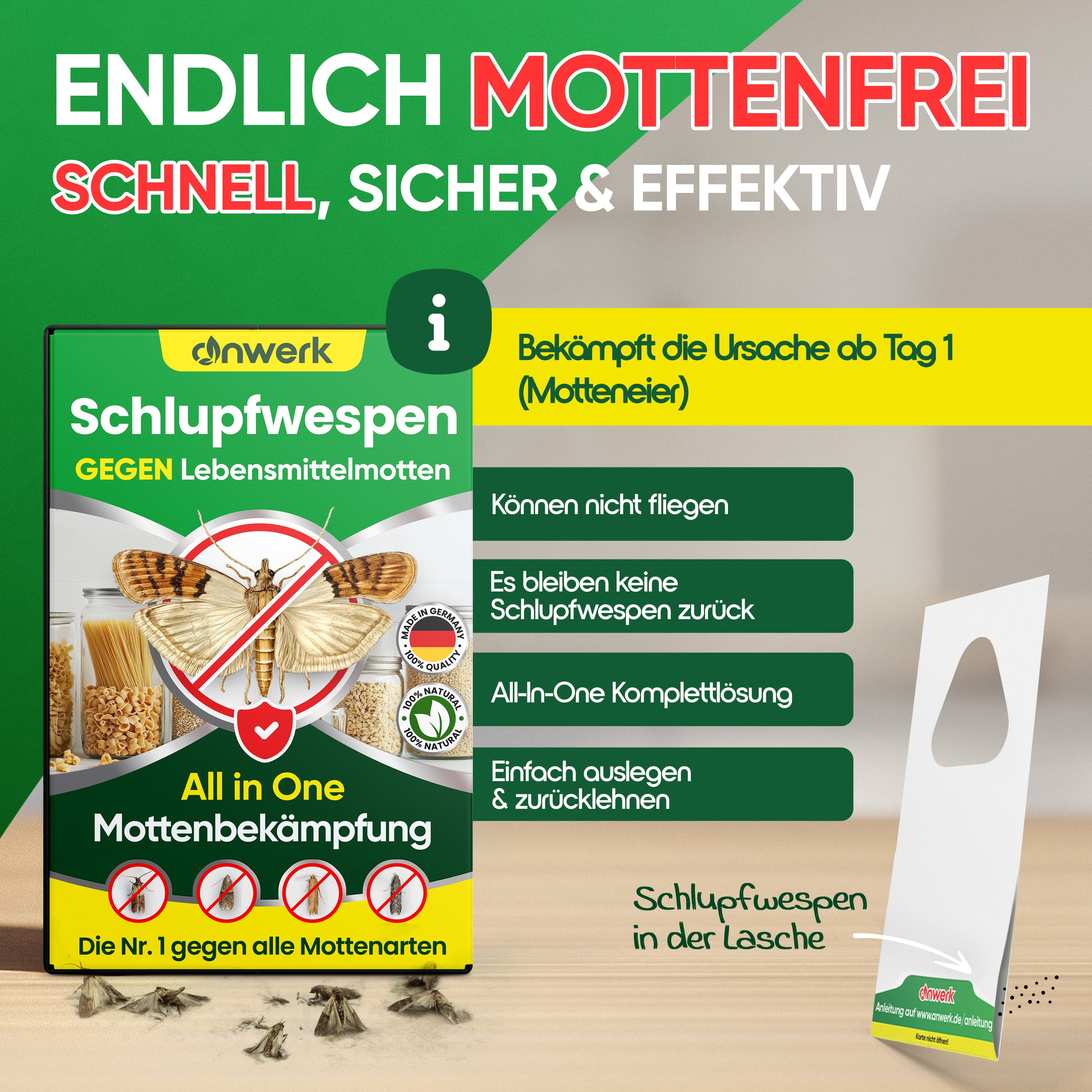 Schlupfwespen gegen Lebensmittelmotten