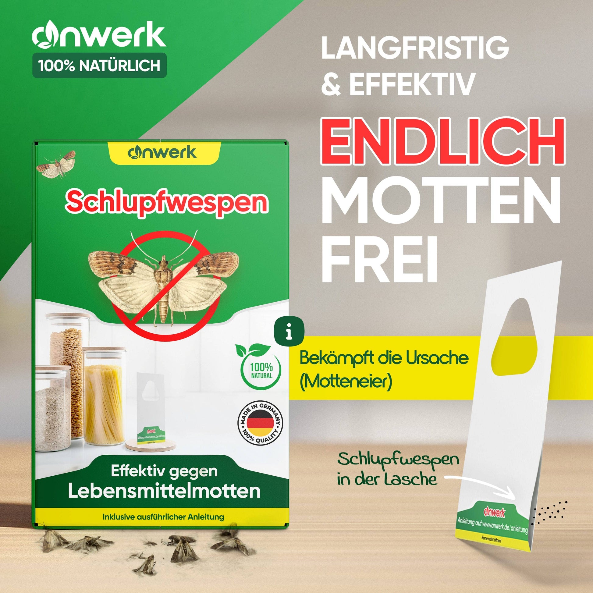 Anwerk Nützlinge gegen Lebensmittelmotten jetzt kaufen - Effektiv mottenfrei